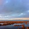 "Late Fall Sunset Over Sand Neck Lighthouse", photography by Anita Winstanley Roark.  Contact us for edition and size availability.  