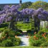 "Suzanne's Garden, Provincetown", photography by Anita Winstanley Roark.  Contact us for edition and size availability.  