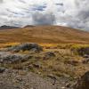 "Above the Tree Line", photography by Anita Winstanley Roark.  Contact us for edition and size availability.