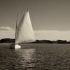 "Catching the Wind, Conjurer", sepia photography by Anita Winstanley Roark  Contact us for edition and size availability.  