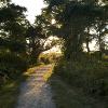 "A Sunny Path Ahead, Ft Hill", photography by Anita Winstanley Roark.  Contact us for edition and size availability.  